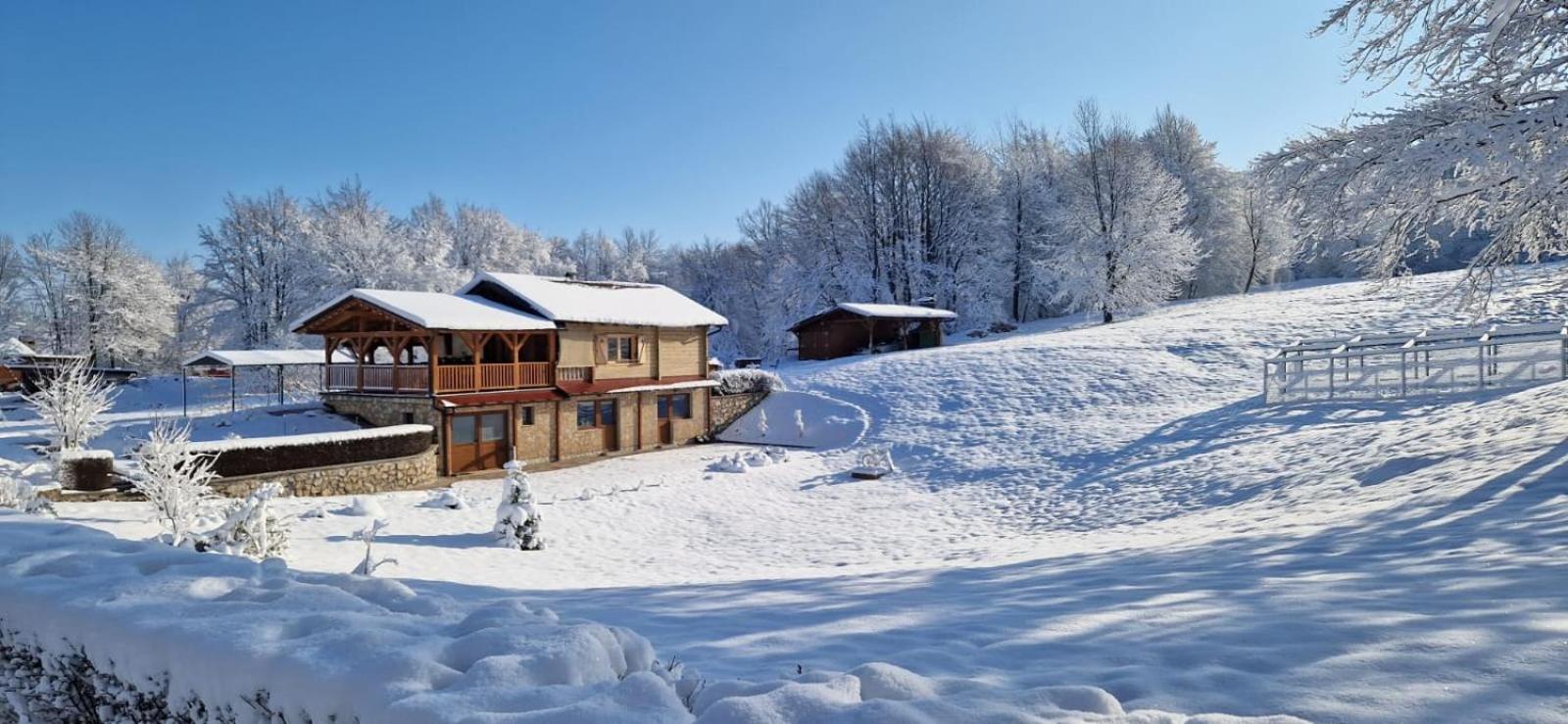 Plitvice Zg Apartment *