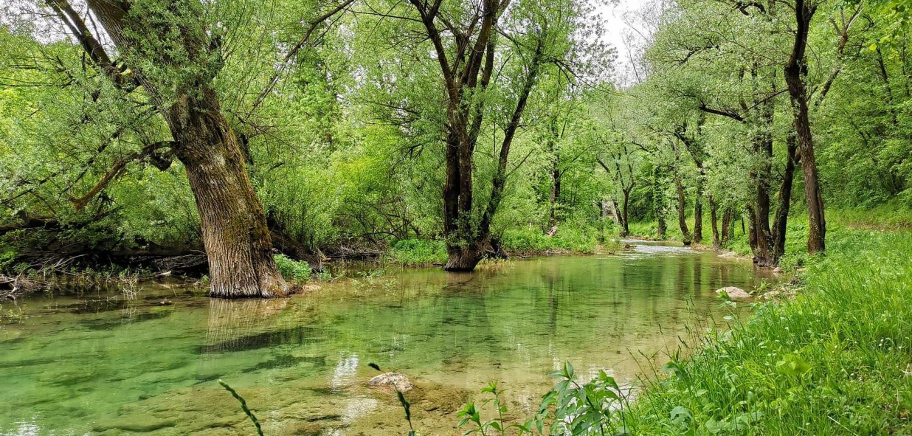 Plitvice Zg *